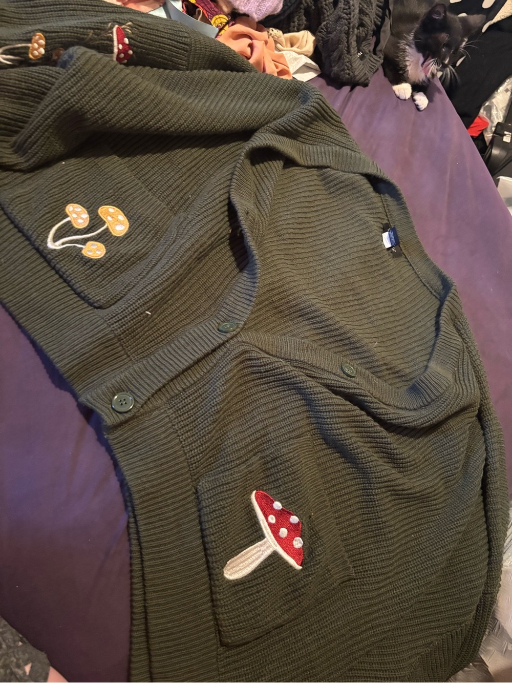 Hot Topic Olive Green Mushroom Patch Cardigan